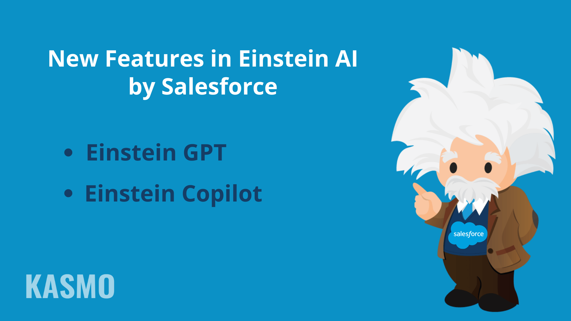 Features in Einstein AI