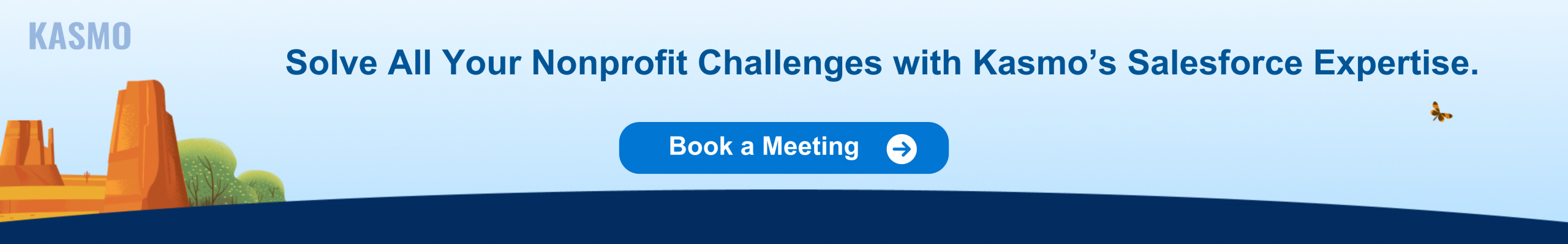 challenges of nonprofit organizations